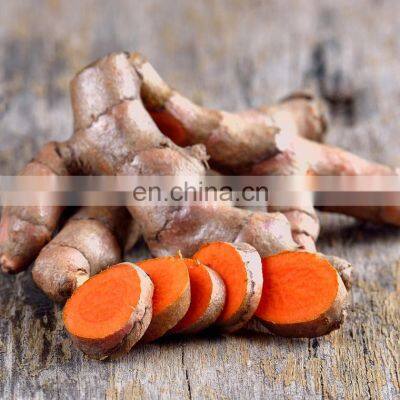 BEST SELLING TURMERIC STARCH AT BEST PRICE FROM VIET NAM