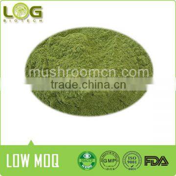 No. 1 quality 100% real organic Rhizome Wasabi Powder for sale