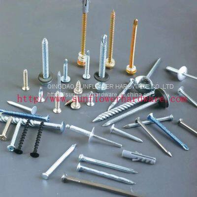 various kinds of nails