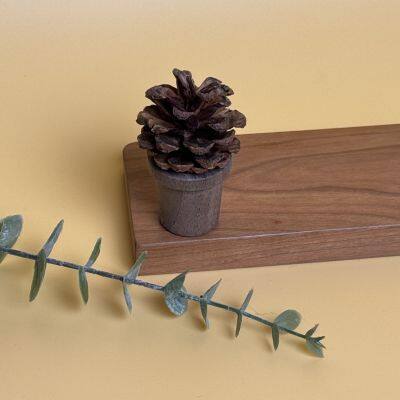 Solid Wood Natural Pine Cone Diffuser