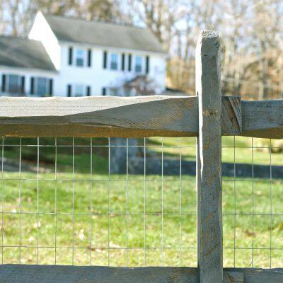 Stainless Steel Welded Wire Mesh Hot Dipped Electro Galvanized Welded Wire Mesh Pvc Coated Welded Wire Mesh photo-5