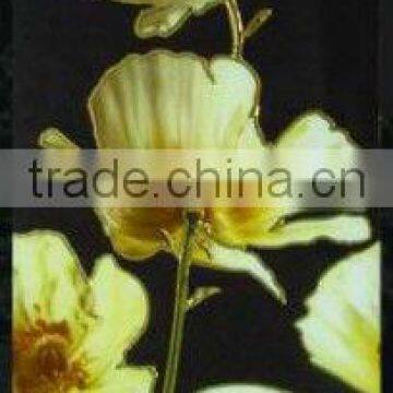 Carpet Tile FJ36036-2