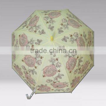 23inch Straight Apollo POE Transparent Parasol Umbrella