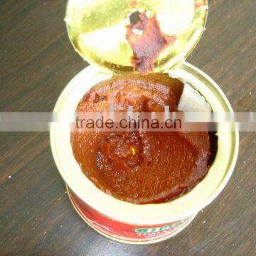 Canned Tomato Paste 18-20