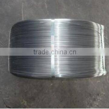 hot sale galvanized patented steel wire