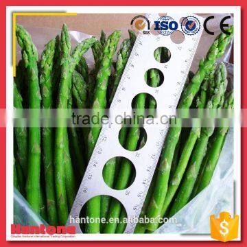 Green Asparagus Spears