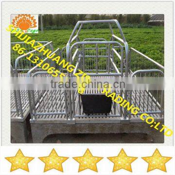 sows cage farming equipment cage hot sale