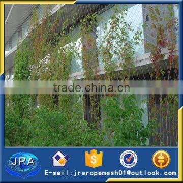 inox X-tend wire rope mesh for graden trellis,plants climbing netting