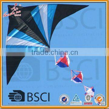 Delta kite with windsock from kite factory