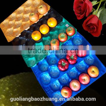 FDA/SGS Food Grade 39x59cm PP Plastic Apple Tray