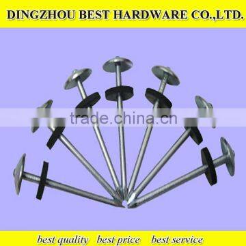GI Roofing Nail Galvanized Roofing Nail photo-5