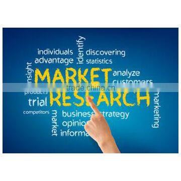 Market Research in Russia
