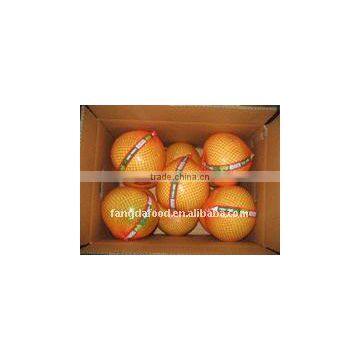 New Crop Honey Pomelo