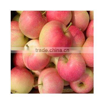 Fresh Fruit Chinese Gala Apple photo-3