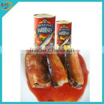 Chinese canned sardines process canning