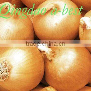 Yellow onion