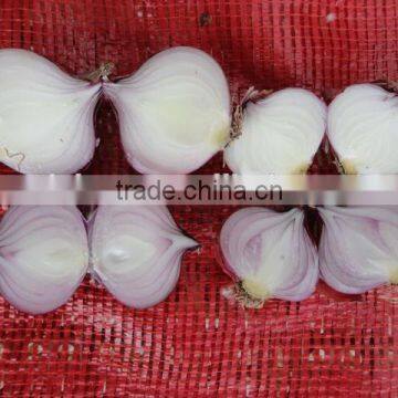 2014 Fresh pink Onion for sale