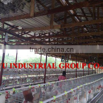 TAIYU Broiler Chicks For Sale For Chicken House