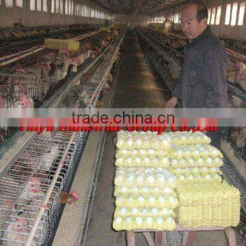 paper egg tray factory