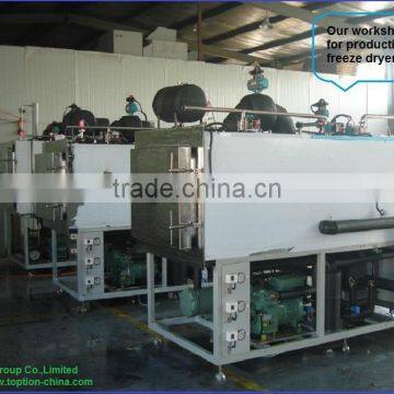 Lyophilizer Machine High Quantity Top Industrial Vegetable & Seafood Freeze Dryer /