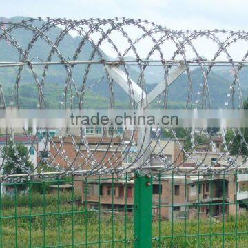 iron thorn wire , iron thorn fence