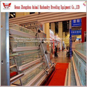 Hot Selling Good Quality Automatic Chicken Egg Layer Cage photo-4