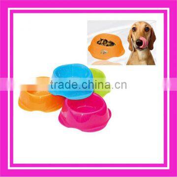 Wholesale automatic pet feeder with custom logo