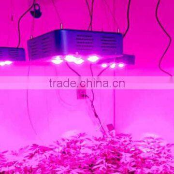 Cob Grow Led Lights 300w Led Grow Light Full Spectrum for Medical Plants photo-6
