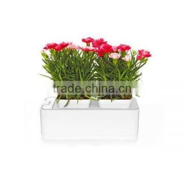 2014 Newest Office Decoration Mini Smart Garden photo-6