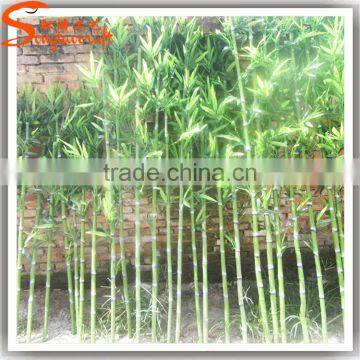 Factory Direct Sale Artificial Bamboo Plant Indoor And Outdoor photo-3