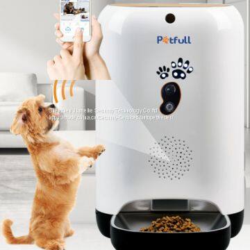 auto pet feeder for dogs & cats