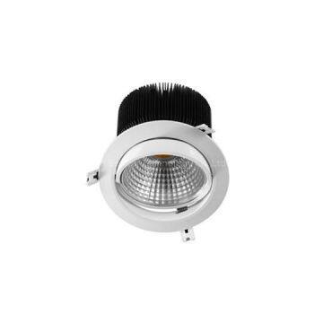 30W Sunflower COB LED Downlight