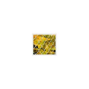 Chain Link Fence