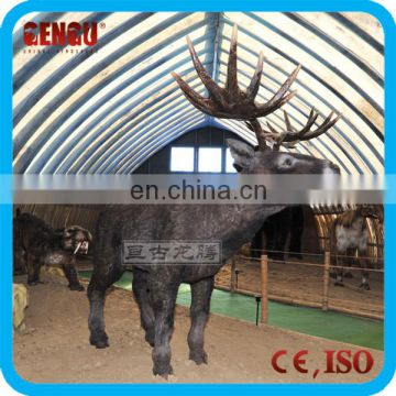 Indoor Playground Equipment High Simulation Animal Model For Sale