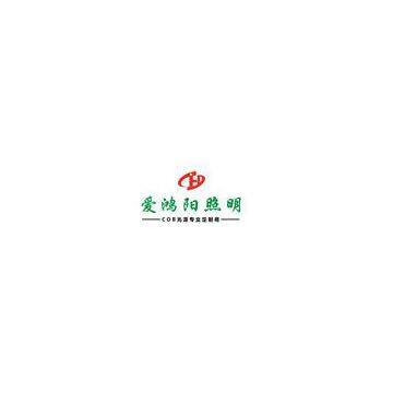Shenzhen Aihongyang Lighting Co., Ltd.