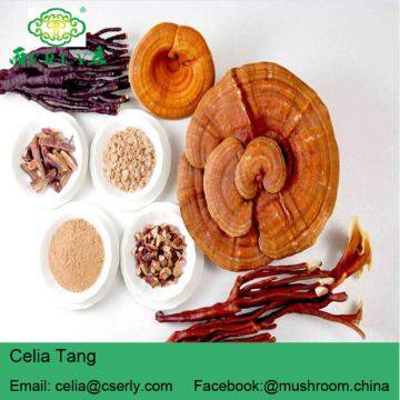 Reishi Mushroom photo-3