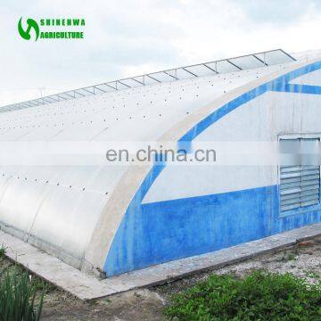 Polycarbonate Hollow Sheet For Low Cost Greenhouse For Big Area Vegetable Plant