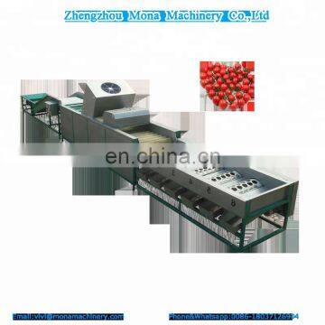 Pomegranate Fruit Farm Equipments High Accuracy Stainless Steel Fruit Grading Machine