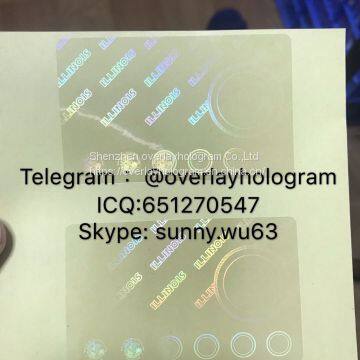 Georgia/Michigan/Illinois/Mississippi/Missouri id State Overlay Hologram photo-2