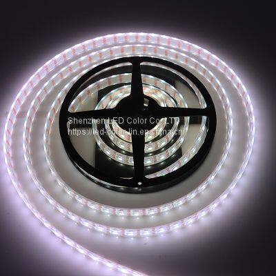 Chinese factory rgb waterproof decoration 72 leds/m led strip light