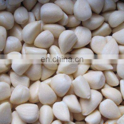Hot Sale Making Machine Peeling Garlic/peeling Garlic Machine photo-5