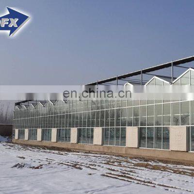 Free Design Steel Structure Warehouse Over 20 Years Professional Production and Design