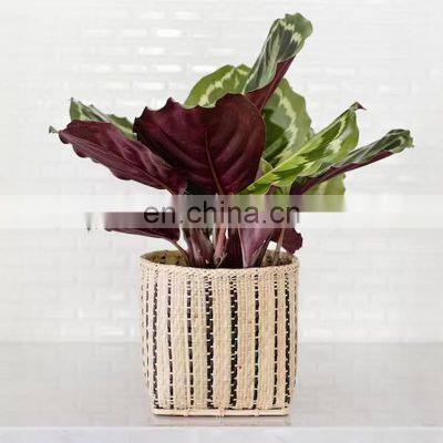 Hot Sale New WovenRattan Planter Basket Wicker Plant Pots Rattan Plant holder and Waste Bin Wholesale