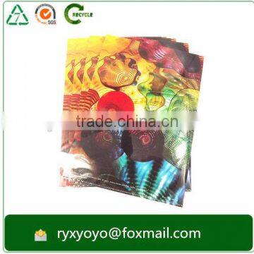 Customzied pp L Shape Clear Folder a4 Size With CMYK Printing photo-3