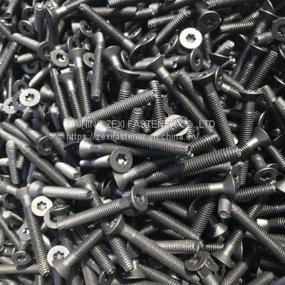 Floor Screw