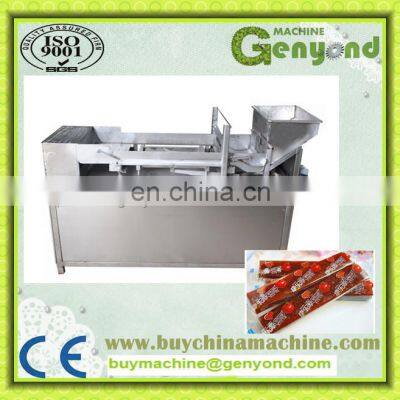 Shanghai Complete Fruit Leather Processing Machines
