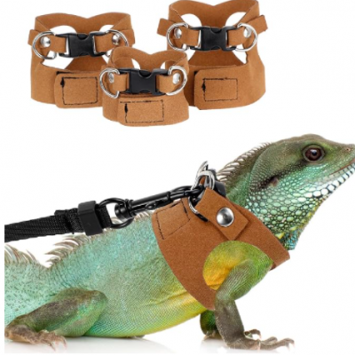 Bearded Dragon Leash and Harness Set, Adjustable Lizard Leash Soft Small Animal Traction Rope, Vest Accessories for Squirrel Rat