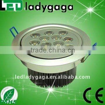 Novel superbright12w with 2 years warranty (CE,RoHS) ,led ceiling light