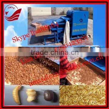Yellow Mealworms Screening Machine photo-2