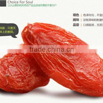 Dried Fruit/China special food Goqi berries /Zhongning Dried Goqi berries